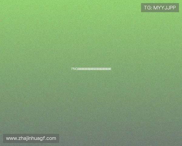 PNG电子签名在法律文件中的应用优势与最佳实践指南 PNG电子签名在法律文件中的应用优势与最佳实践指南